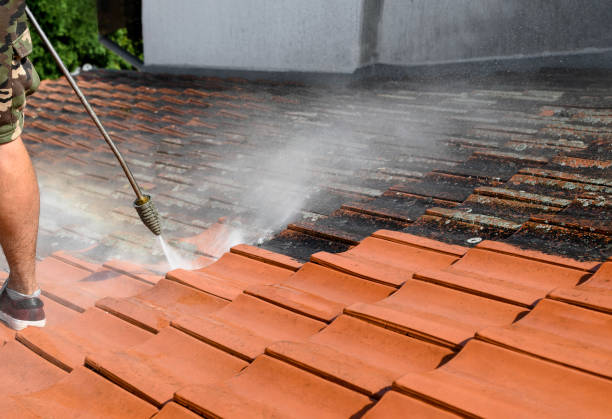 Best Pressure Washing Estimates  in Nashville, MI